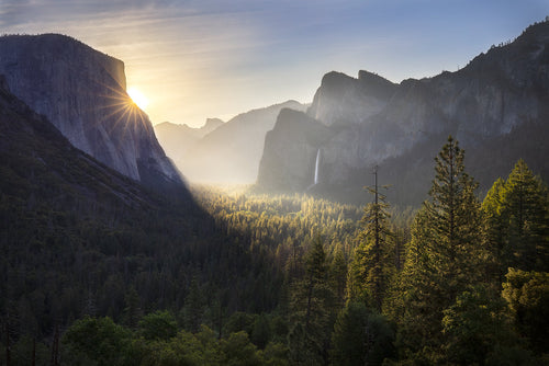 Good Morning Yosemite Shop charlotte gibb