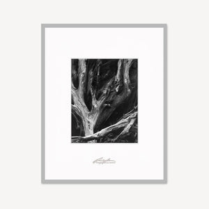 Sequoia Roots Shop Ansel Adams Framed Standard Premium Gray Welded Frame 