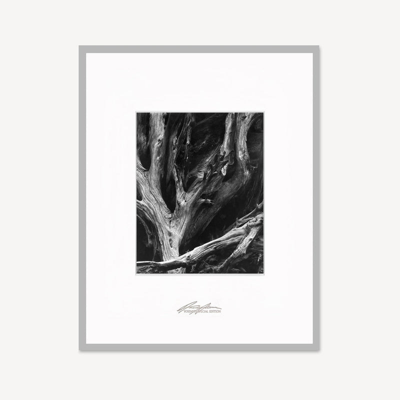 Sequoia Roots Shop Ansel Adams Framed Standard Premium Gray Welded Frame 
