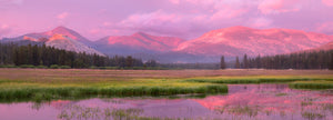 Tuolumne Meadows, Panorama Shop charlotte gibb 15 x 44" - ROLLED 