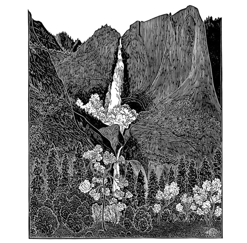 Yosemite Falls VI Shop Tom Killion 