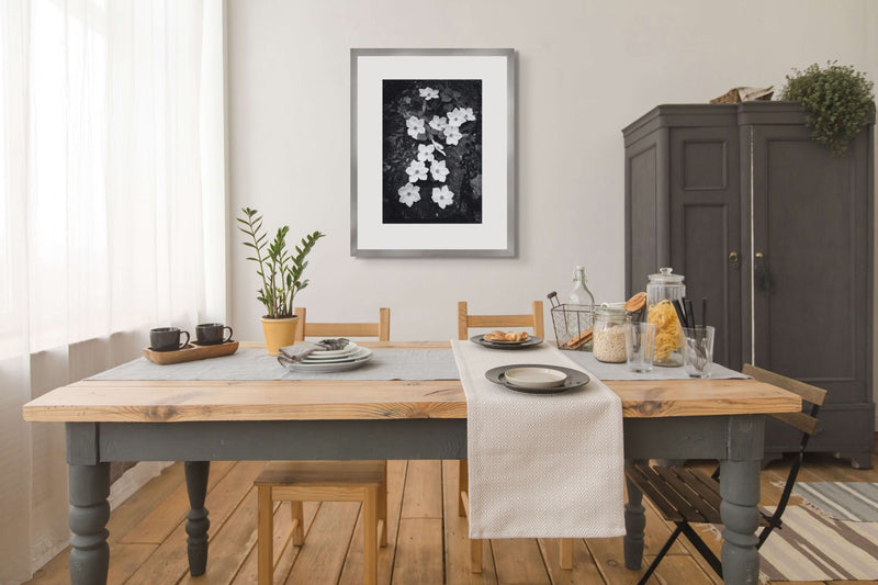 Dogwood Blossoms - Large Print Rolled Ansel Adams Exclusives Ansel Adams 