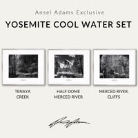 Yosemite Cool Water Set Shop Ansel Adams Framed Standard Set German Silver Metal 